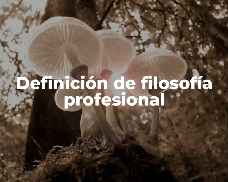 Definición de filosofía profesional
