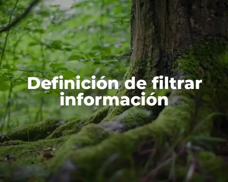 Definición de filtrar información
