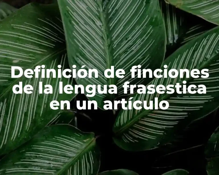 Definición de finciones de la lengua frasestica en un artículo