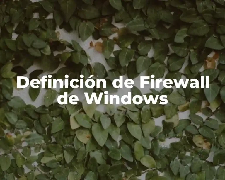 Definición de Firewall de Windows