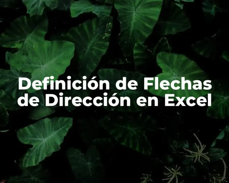 Definición de Flechas de Dirección en Excel