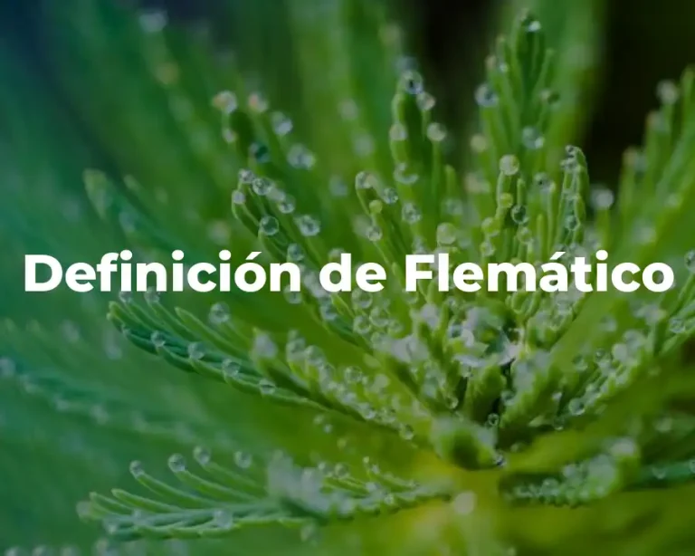 Definición de Flemático