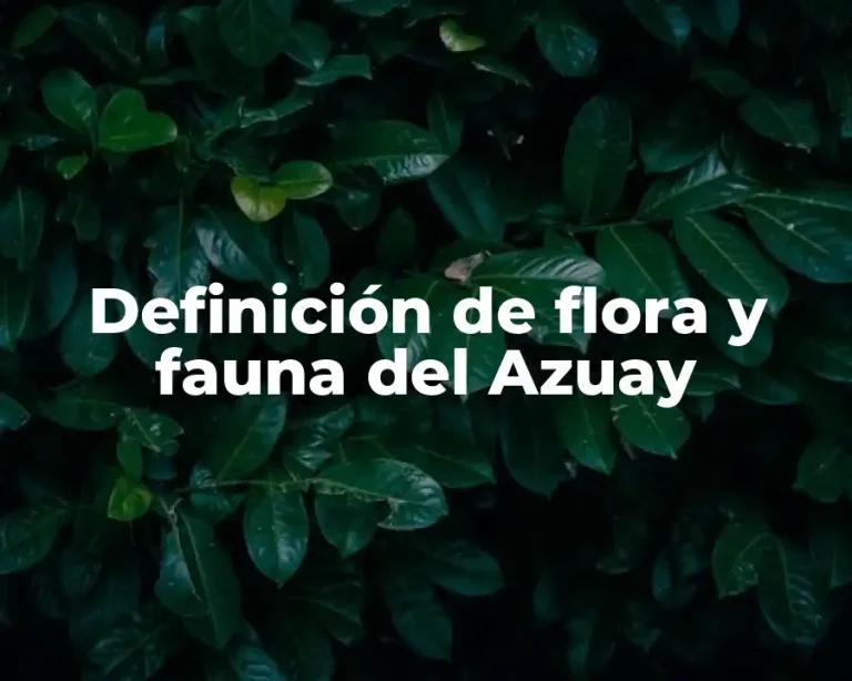 Definición de flora y fauna del Azuay