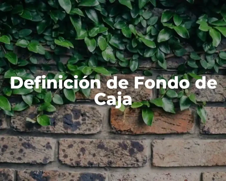 Definición de Fondo de Caja