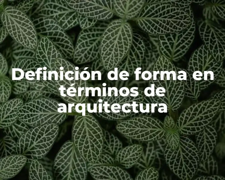 Definición de forma en términos de arquitectura