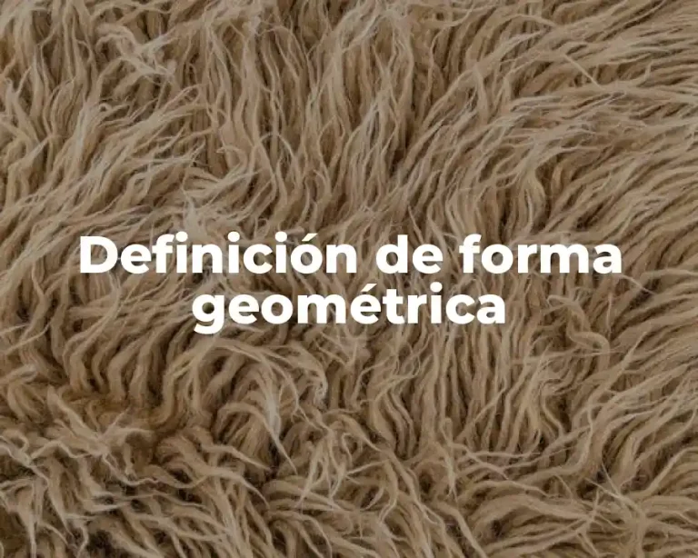 Definición de forma geométrica