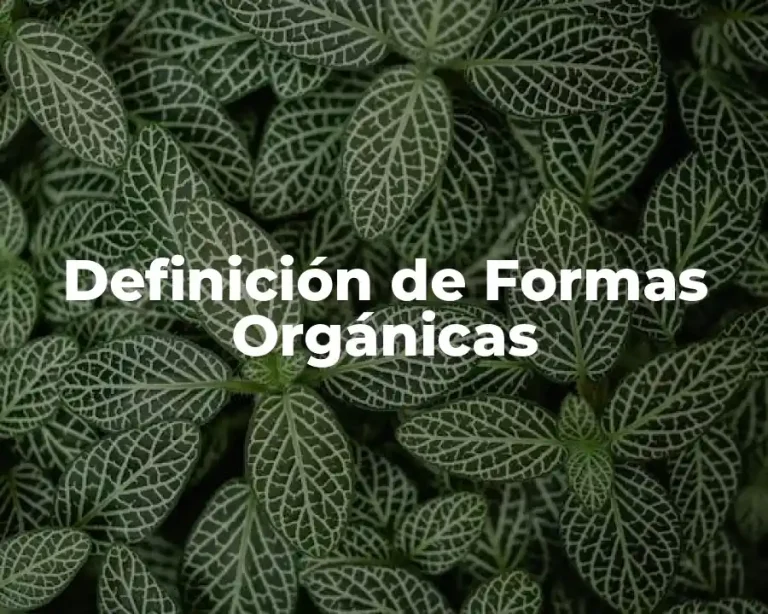 Definición de Formas Orgánicas