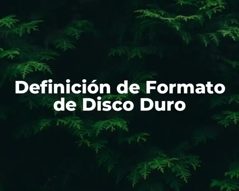 Definición de Formato de Disco Duro
