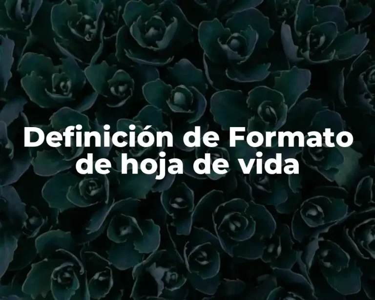 Definición de Formato de hoja de vida