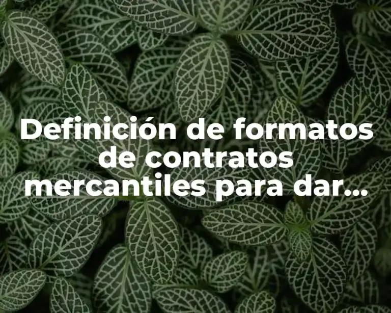 Definición de formatos de contratos mercantiles para dar créditos