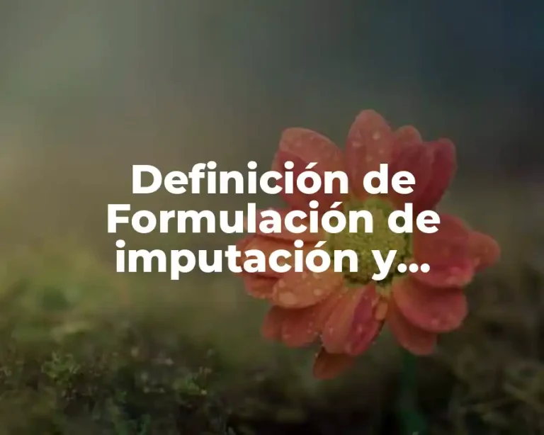 Definición de Formulación de imputación y fundamento