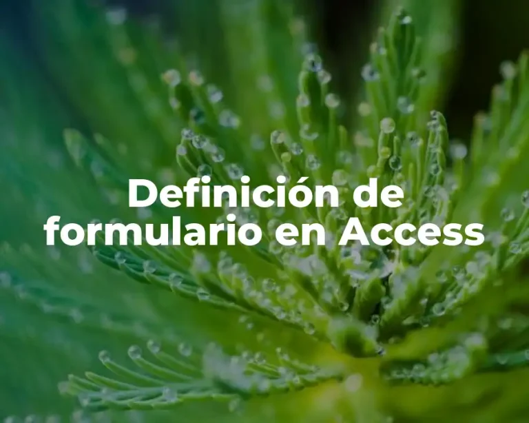 Definición de formulario en Access