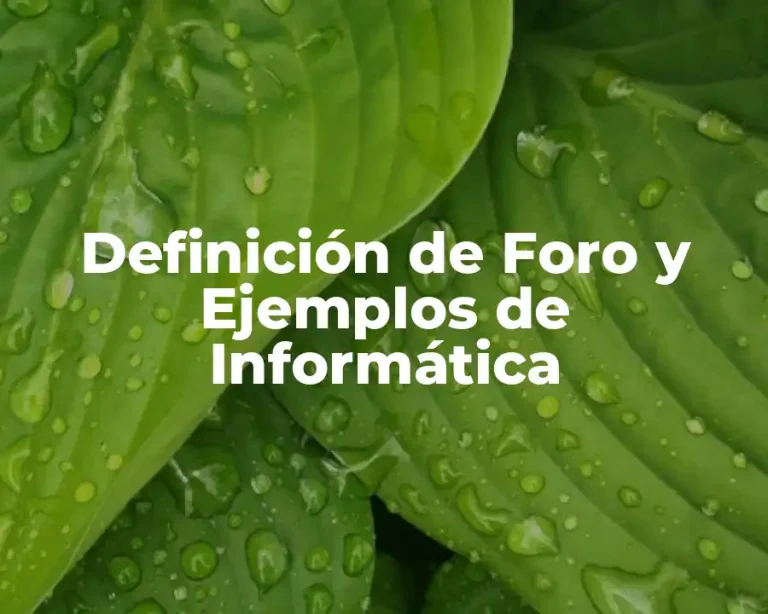 Definición de Foro y Ejemplos de Informática