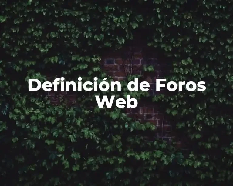 Definición de Foros Web