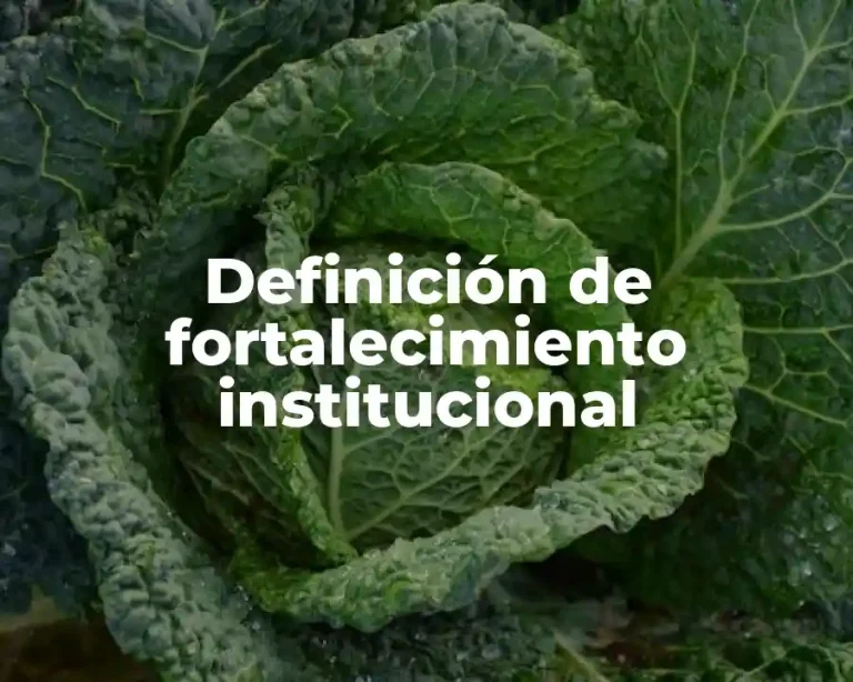 Definición de fortalecimiento institucional