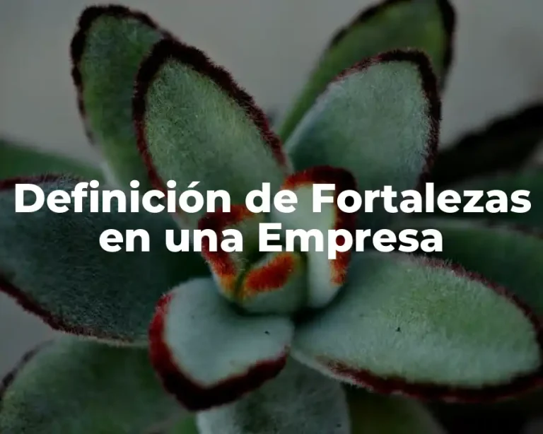 Definición de Fortalezas en una Empresa