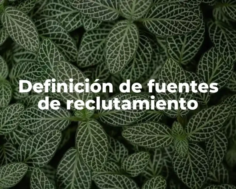 Definición de fuentes de reclutamiento