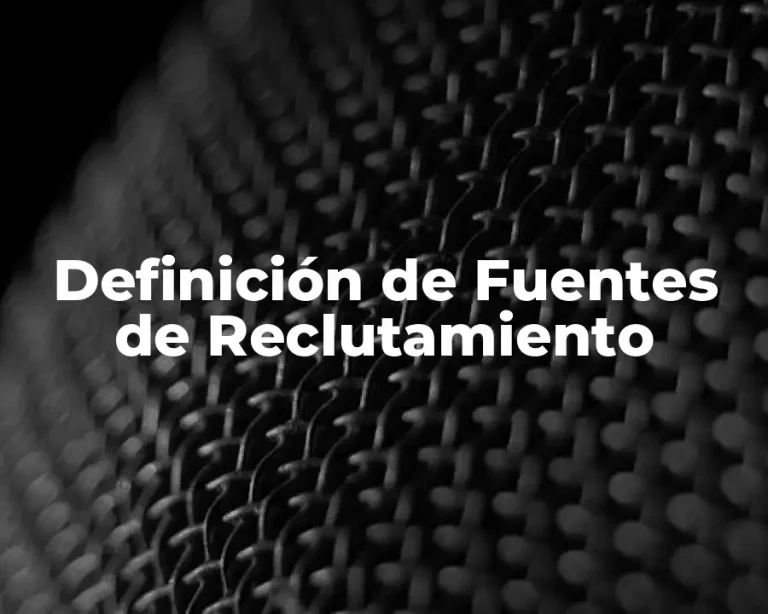 Definición de Fuentes de Reclutamiento