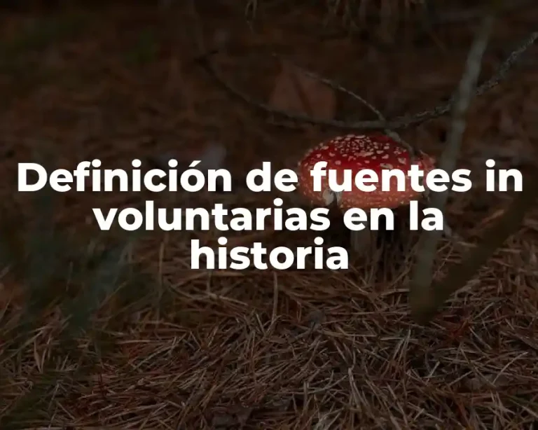 Definición de fuentes in voluntarias en la historia