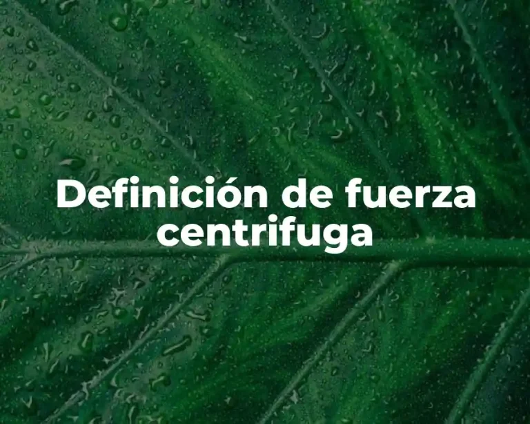 Definición de fuerza centrifuga