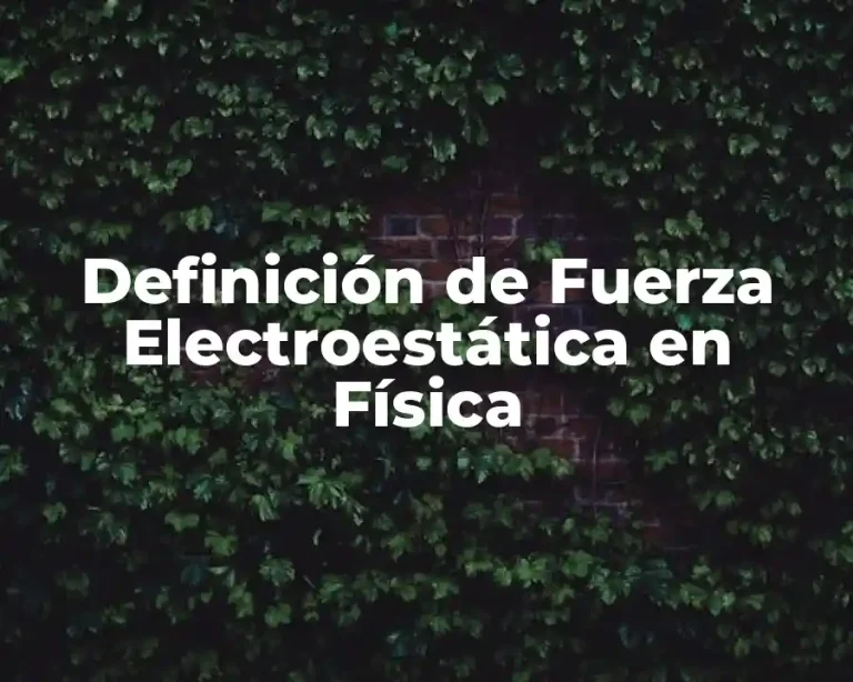 Definición de Fuerza Electroestática en Física