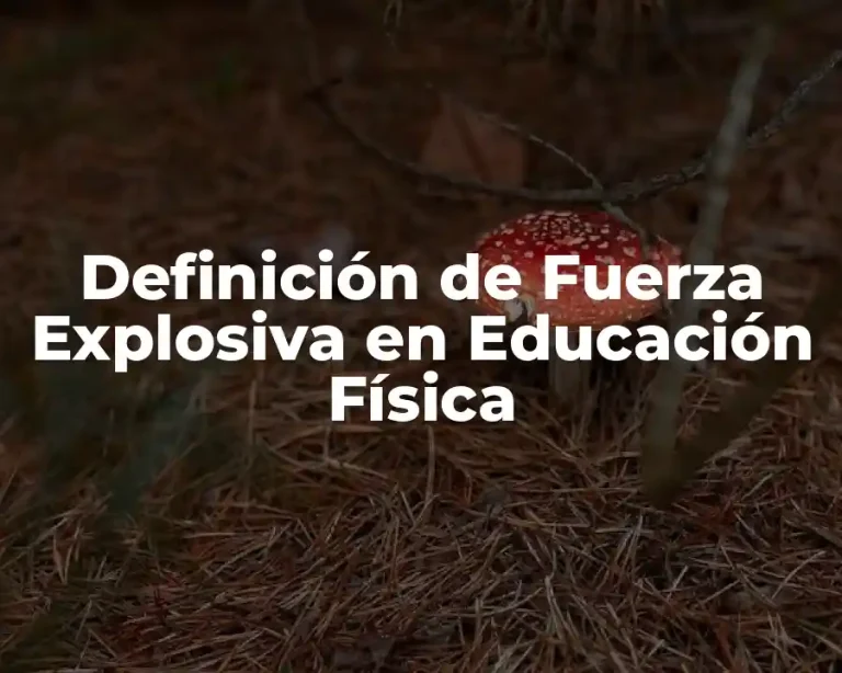 Definición de Fuerza Explosiva en Educación Física