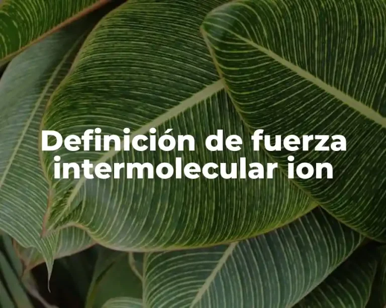 Definición de fuerza intermolecular ion
