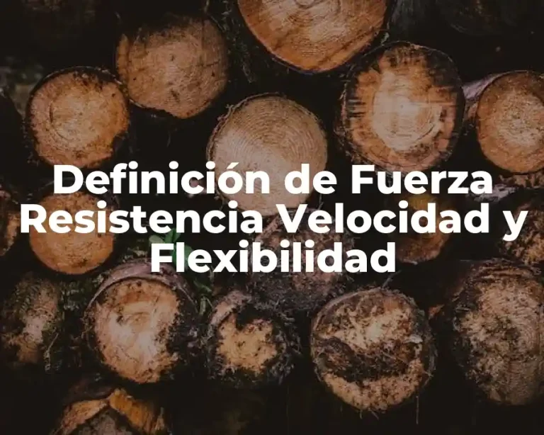Definición de Fuerza Resistencia Velocidad y Flexibilidad