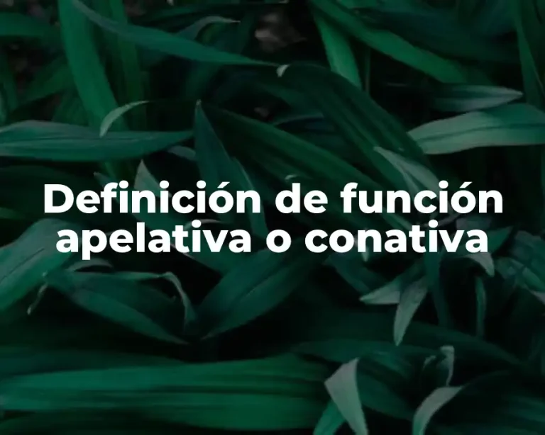 Definición de función apelativa o conativa