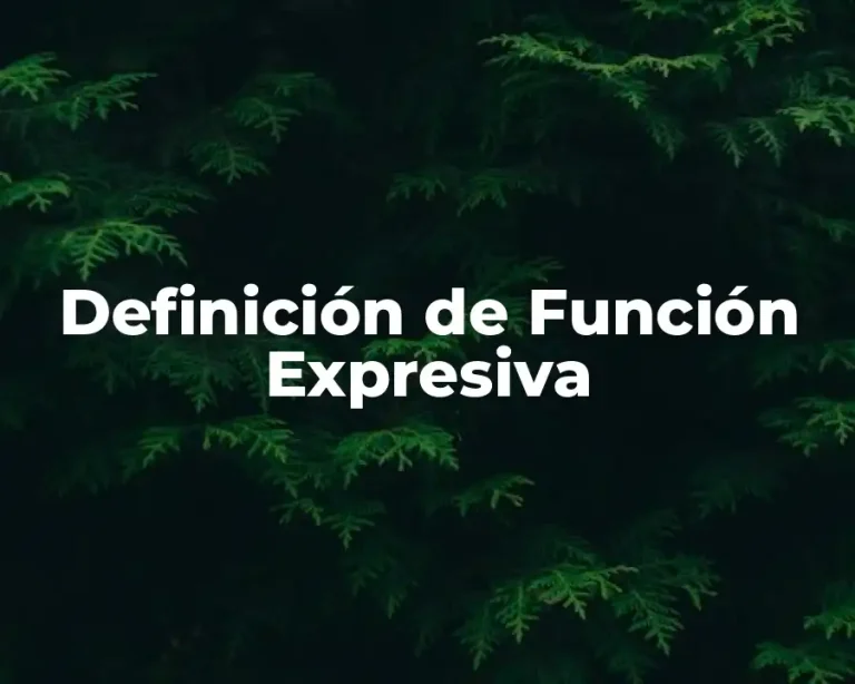Definición de Función Expresiva