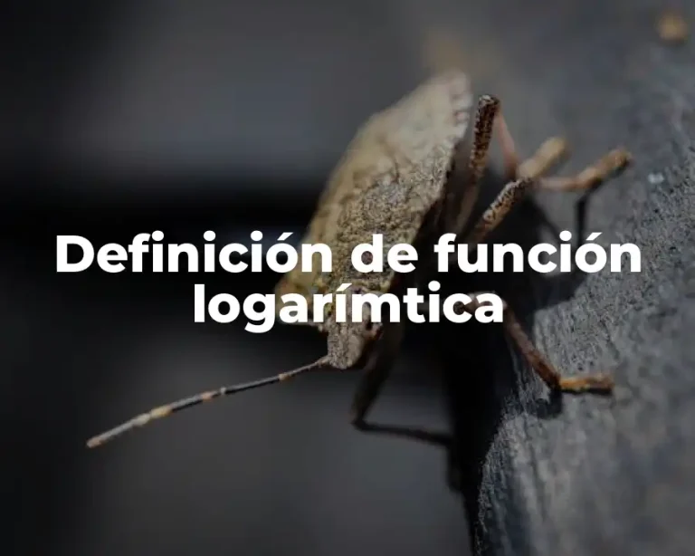 Definición de función logarímtica