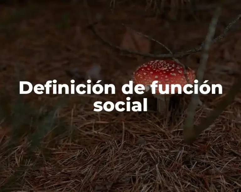 Definición de función social