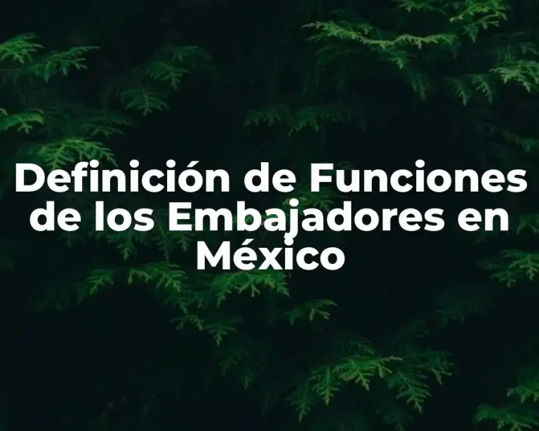 Definición de Funciones de los Embajadores en México