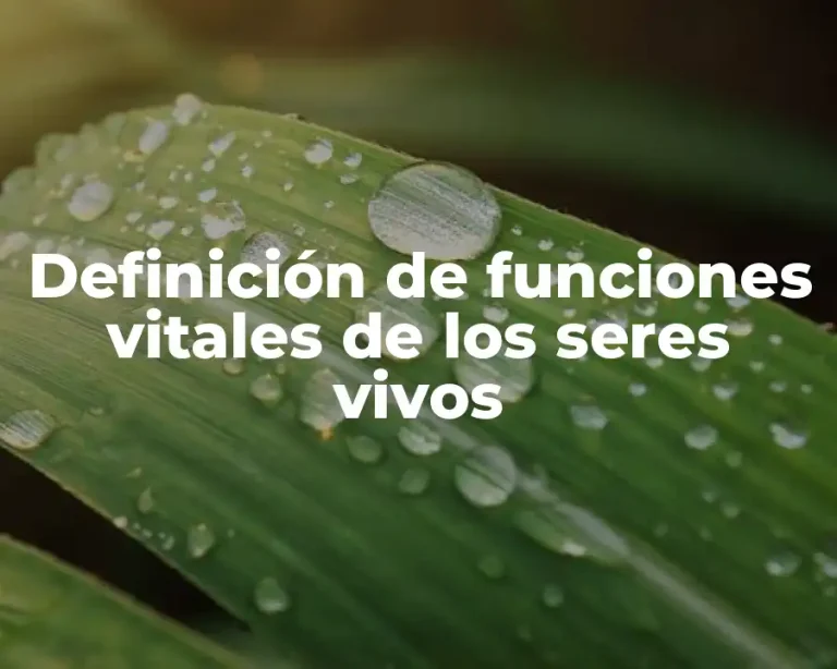 Definición de funciones vitales de los seres vivos