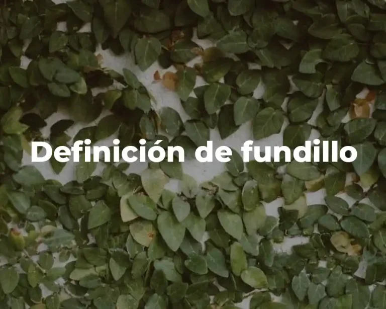 Definición de fundillo