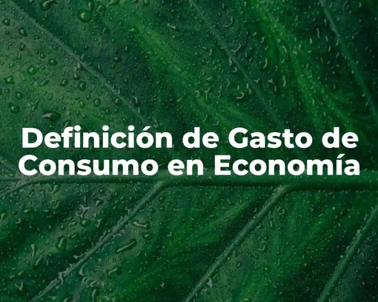 Definición de Gasto de Consumo en Economía