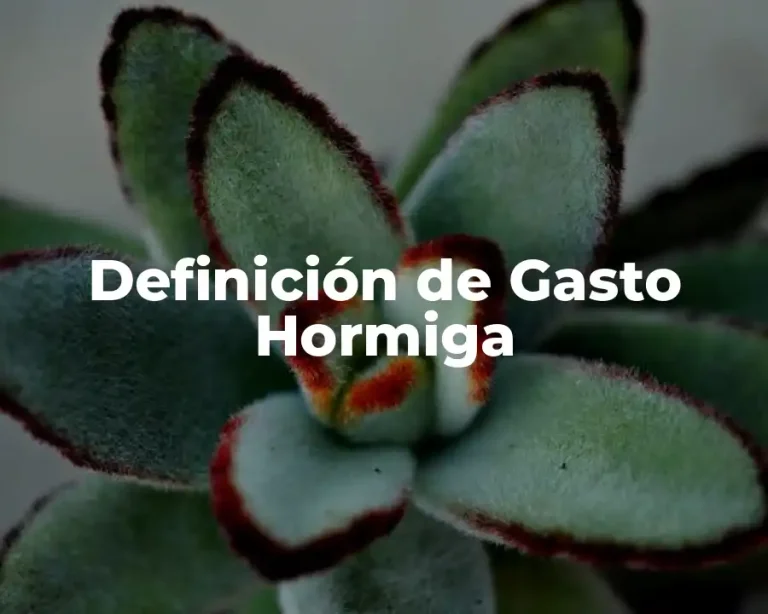 Definición de Gasto Hormiga