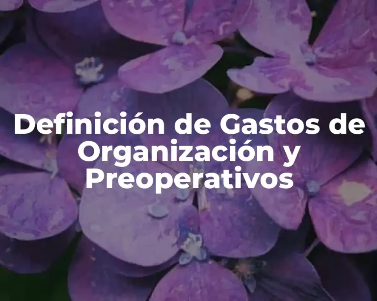 Definición de Gastos de Organización y Preoperativos