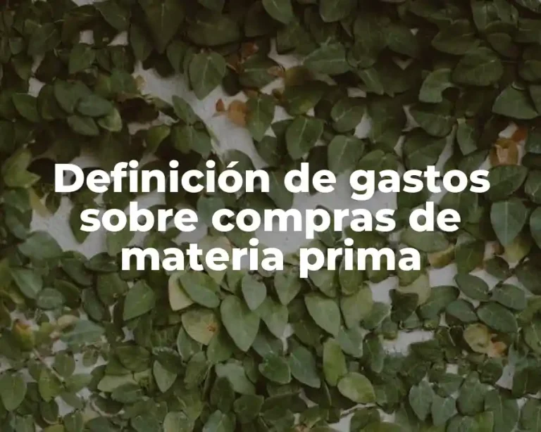 Definición de gastos sobre compras de materia prima