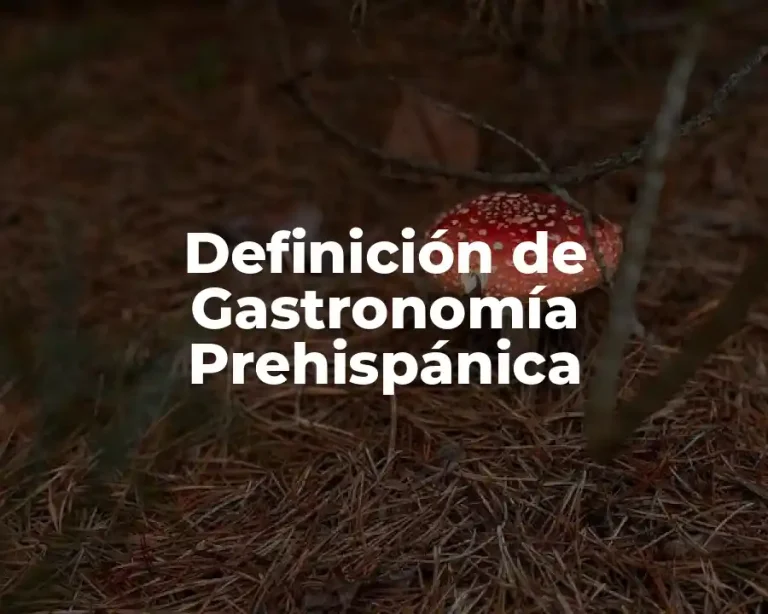 Definición de Gastronomía Prehispánica