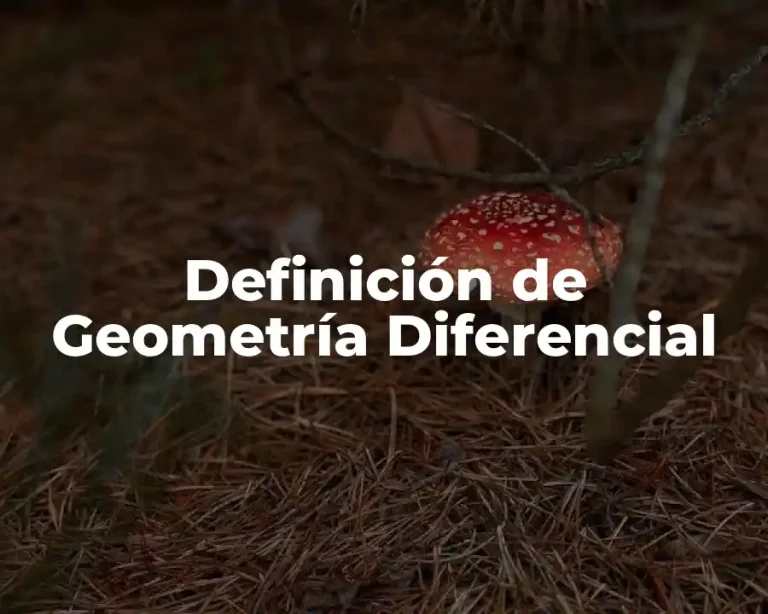 Definición de Geometría Diferencial