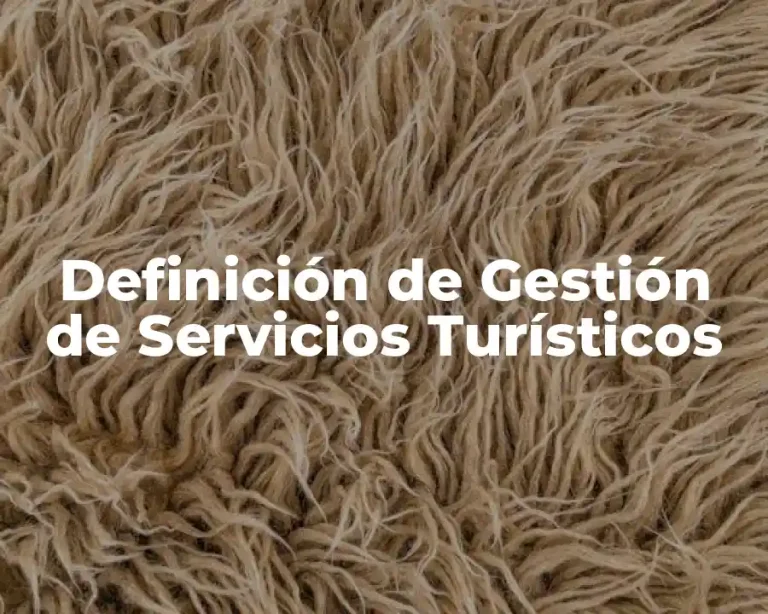 Definición de Gestión de Servicios Turísticos