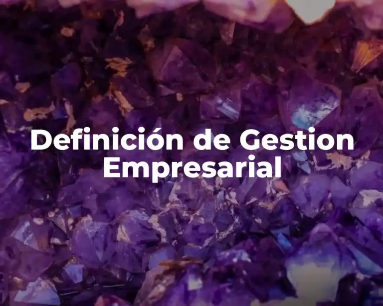 Definición de Gestion Empresarial