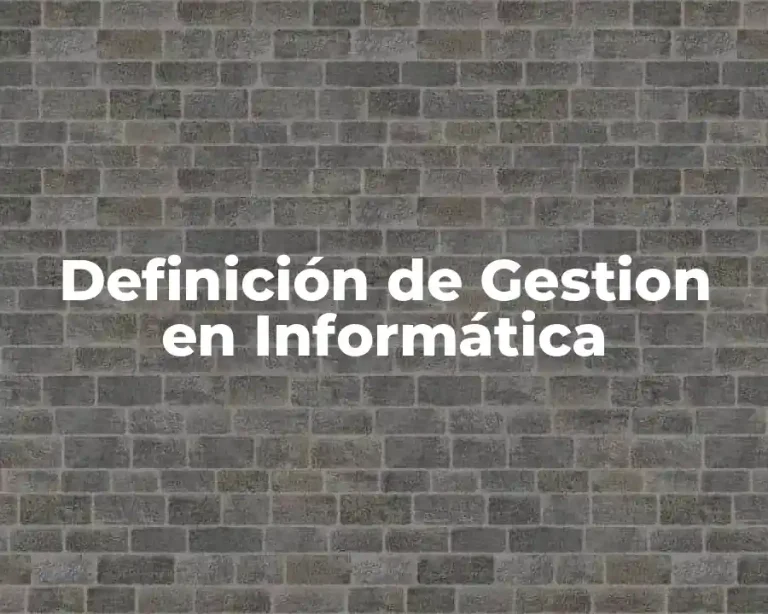 Definición de Gestion en Informática
