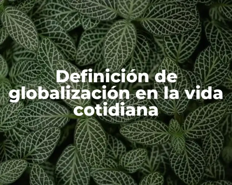 Definición de globalización en la vida cotidiana
