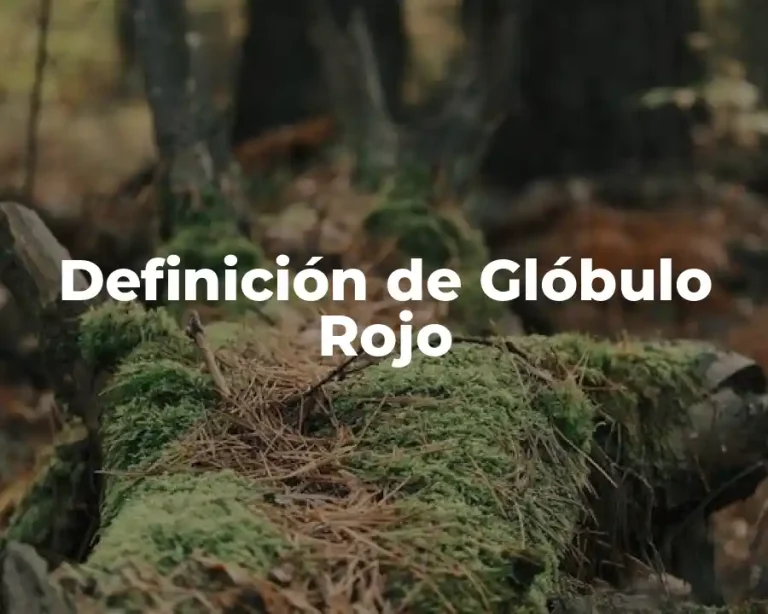 Definición de Glóbulo Rojo