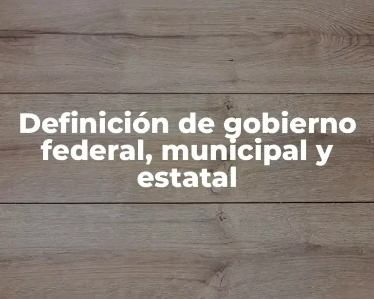 Definición de gobierno federal, municipal y estatal