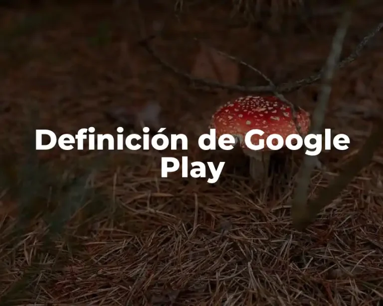 Definición de Google Play