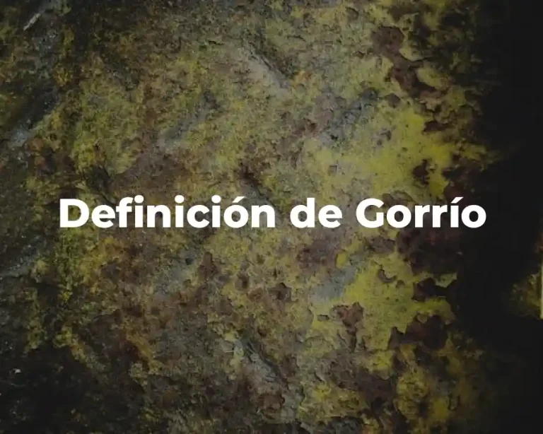 Definición de Gorrío