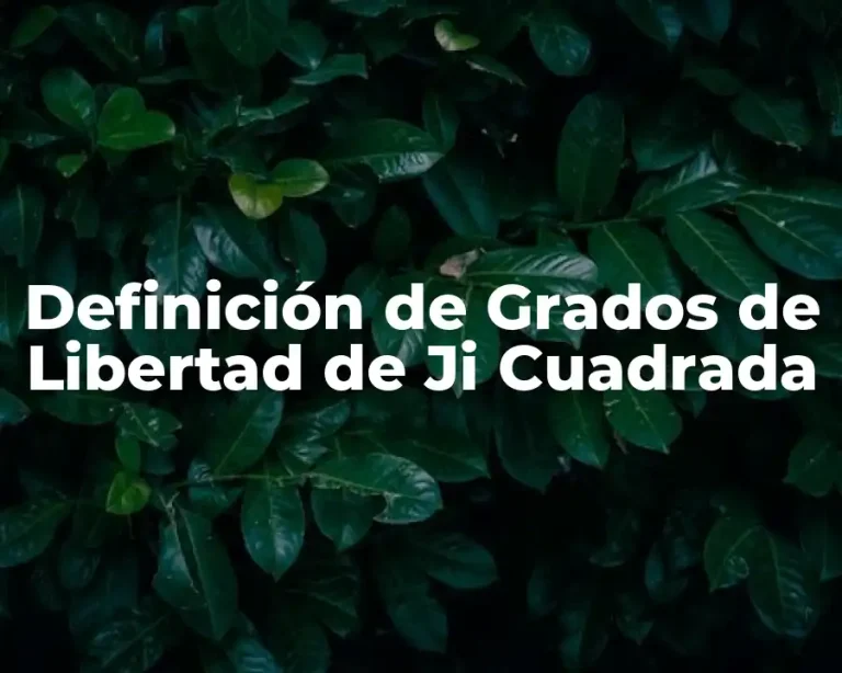 Definición de Grados de Libertad de Ji Cuadrada